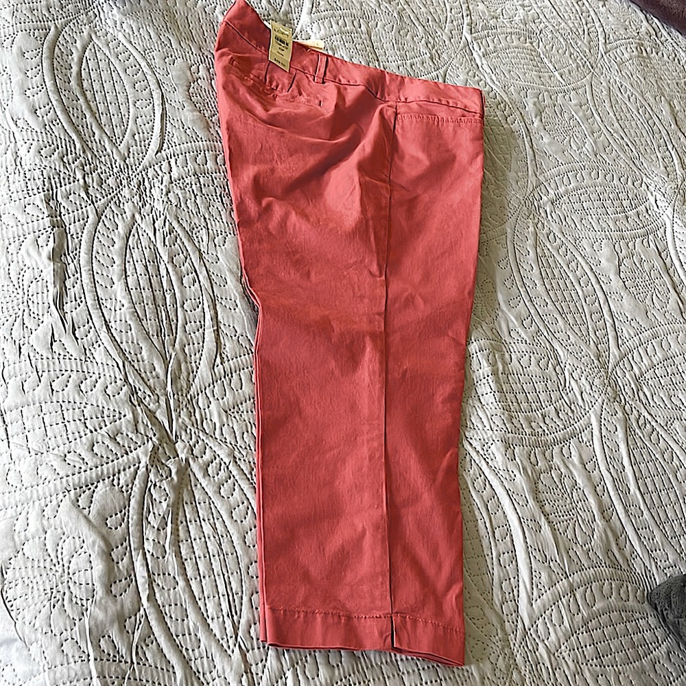 Ann Taylor capri pants in size 10P
